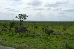 0151-Reis Zuid-Afrika2007